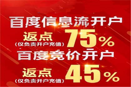 SEM搜索引擎优化成功案例，揭示优化策略与技巧